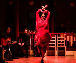 Imagen Flamenco 1