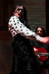 Imagen Flamenco 3